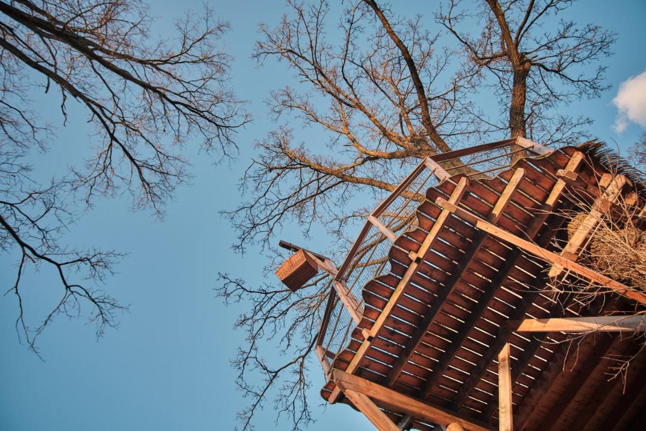 Treehouse Kremilek Villa Jesenice  Екстериор снимка